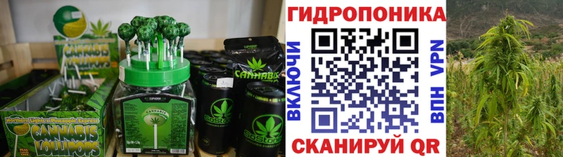 Купить закладки  Кемь  Canna-Cookies конопля 