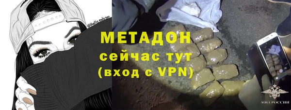 сатива Инсар