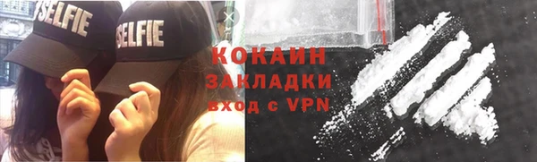 сатива Инсар