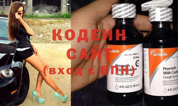 сатива Инсар