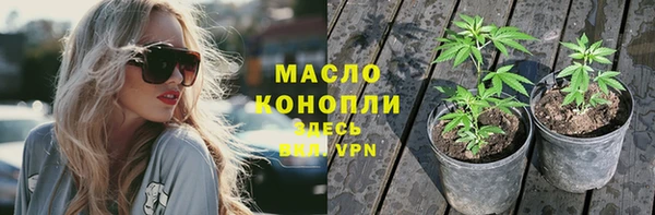 сатива Инсар