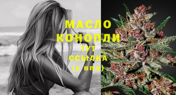 эйфоретик Инта